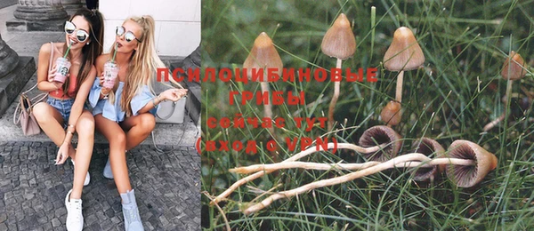 спиды Алексеевка