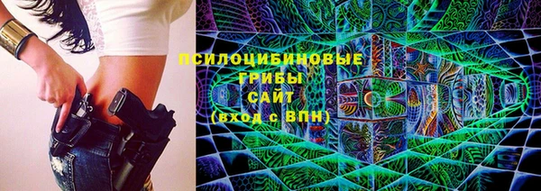 spice Алексин