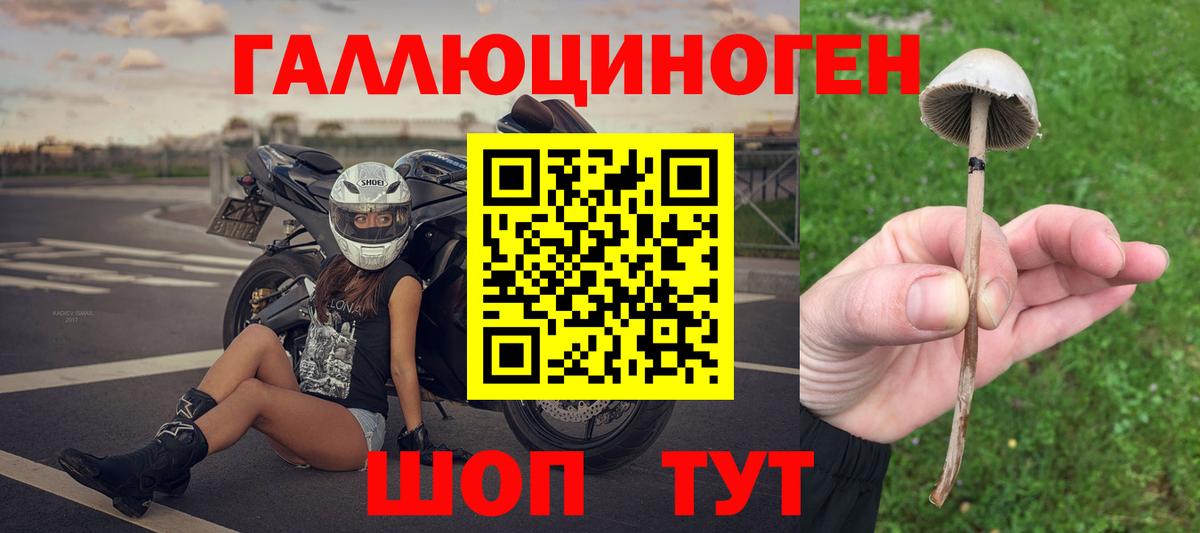 Томск  Галлюциногенные грибы ЛСД  Вход с VPN 