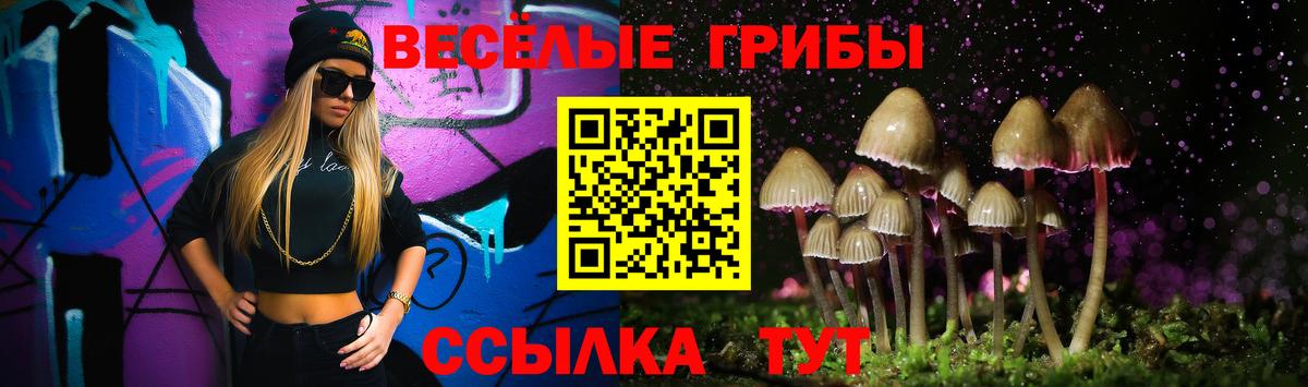 Псилоцибиновые грибы прущие грибы Томск
